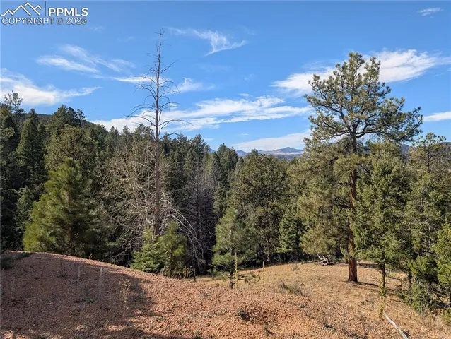 a view of a yard covered with snow in the background