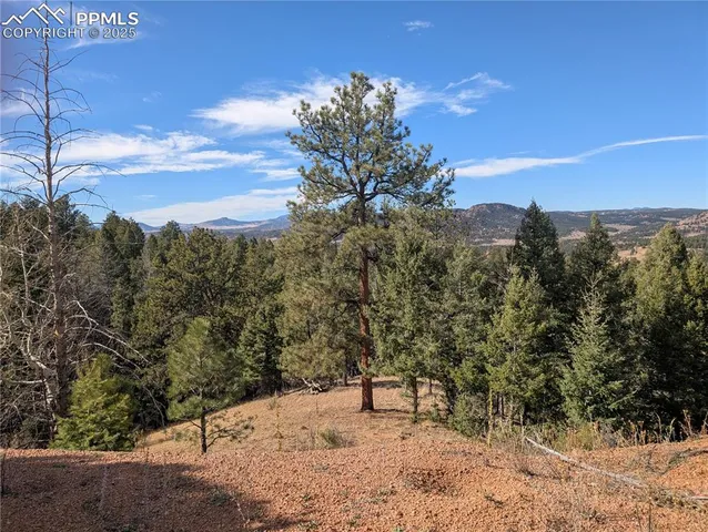 a view of a bench in a backyard