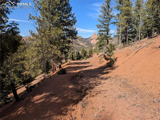 a view of outdoor space and yard