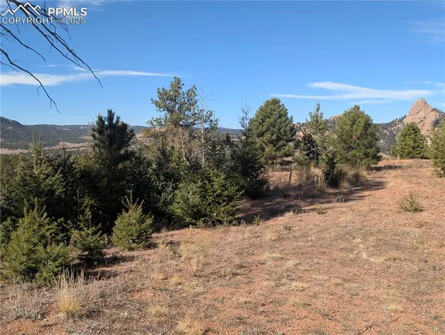 a view of a yard with a tree