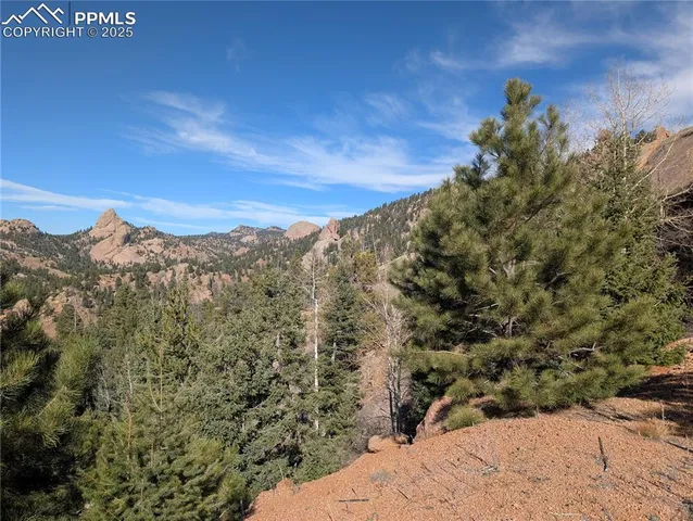 a view of a dry yard with mountains in the background