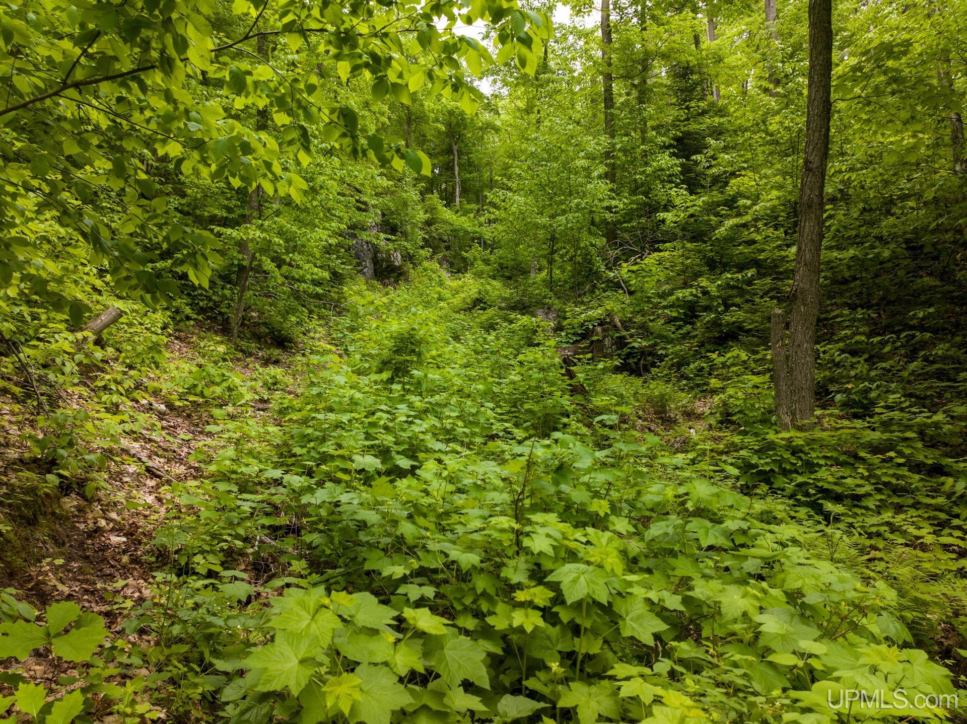 Tbd Tbd Co Road Negaunee, MI 49866 - Photo 30 of 47