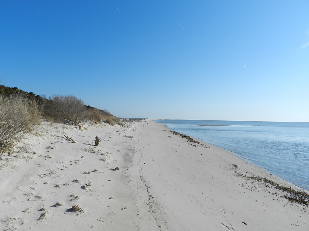 Lot 115 Church Neck Road, Unit 115 Machipongo, VA 23405 - Photo 4 of 9