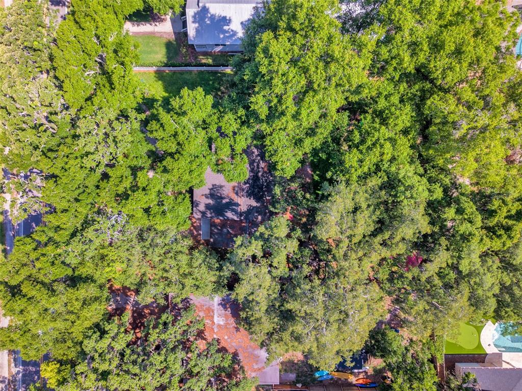 811 Main Street Windermere, FL 34786 - Photo 30 of 32