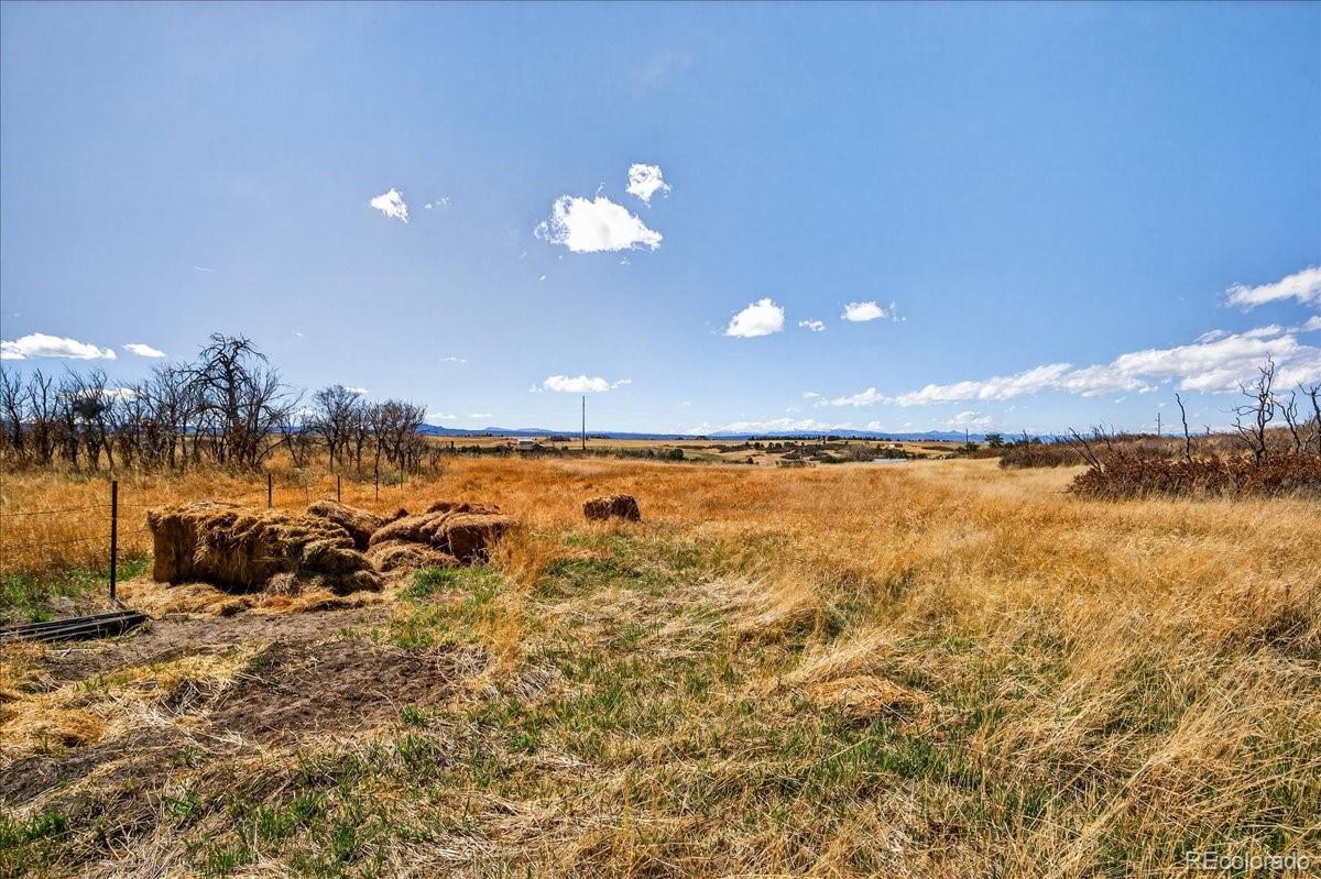 4351 Lake Gulch Road Castle Rock, CO 80104 - Photo 36 of 45