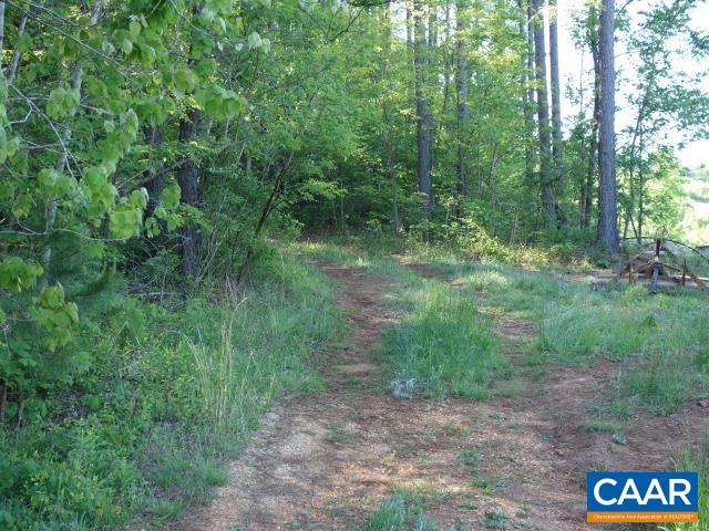 Laurel Road Schuyler, VA 22969 - Photo 9 of 9 a view of a forest with trees in the background