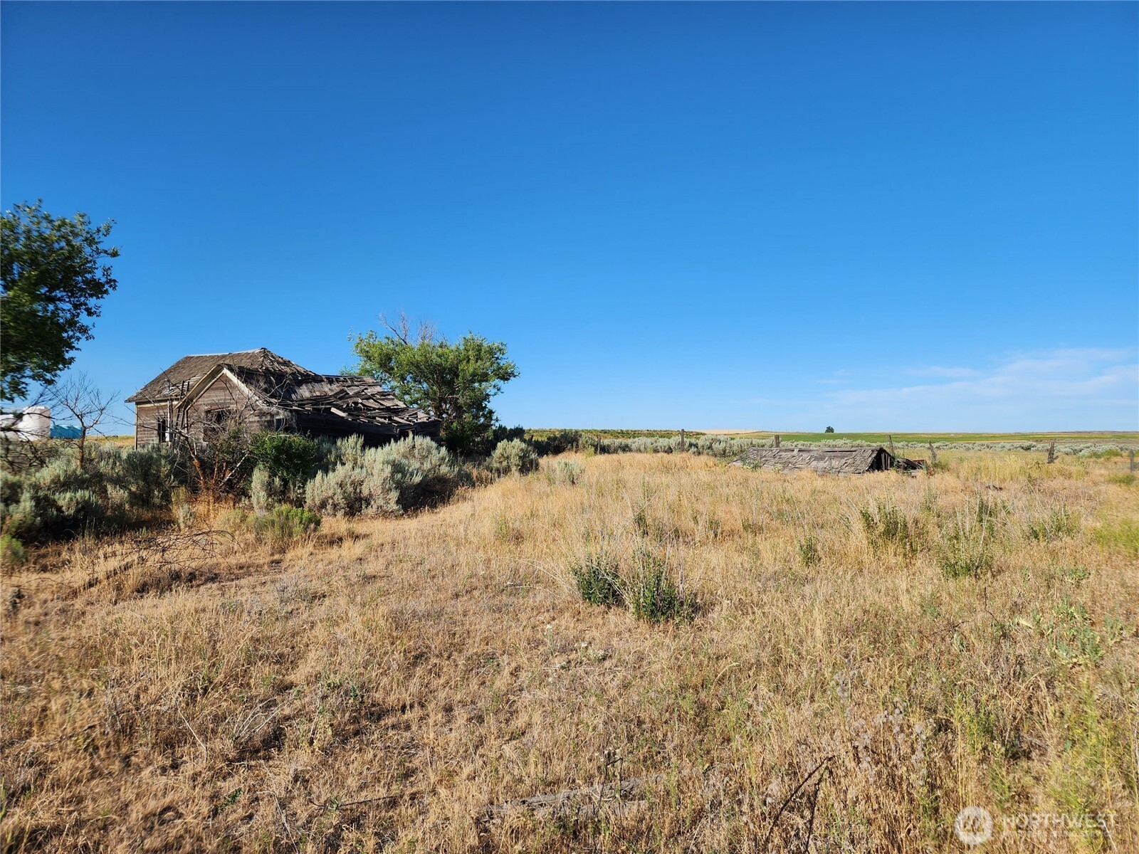 0 School House Road Wilbur, WA 99185 - Photo 5 of 8 Gallery Image 5