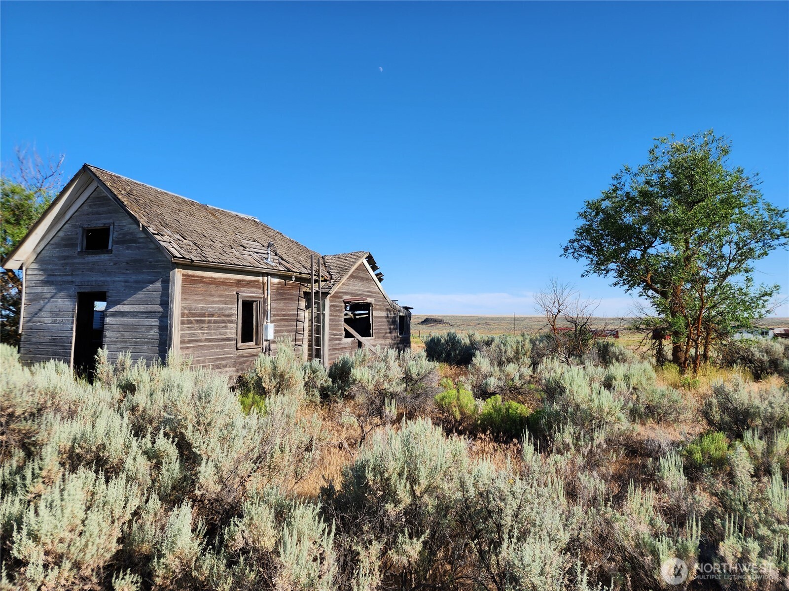 0 School House Road Wilbur, WA 99185 - Photo 6 of 8 Gallery Image 6