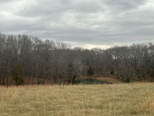 a view of a yard