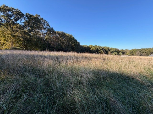 1 Myatt Loop Burns, TN 37029 - Photo 6 of 8 a view of lake with green space