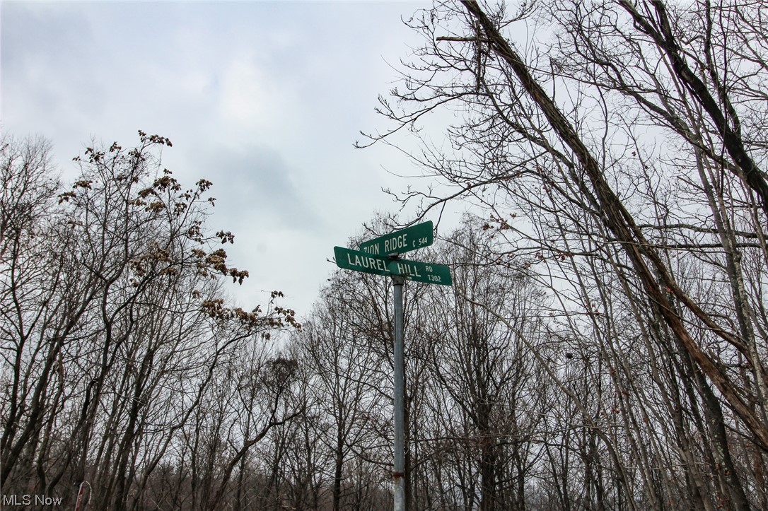 0 Zion Ridge Road Marietta, OH 45750 - Photo 14 of 16 Gallery Image 14