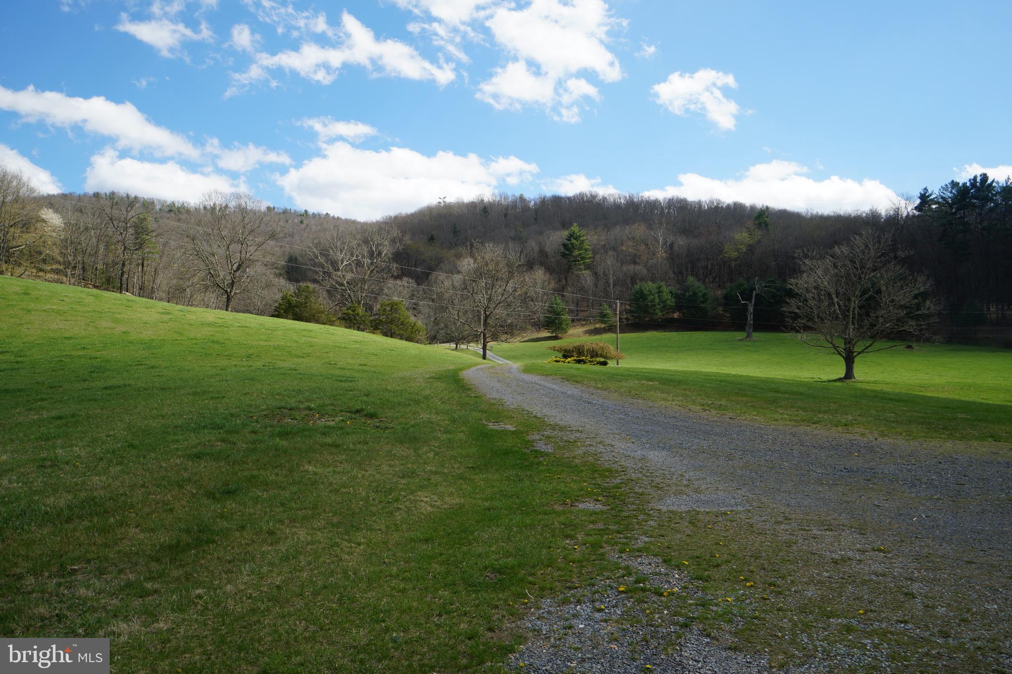1873 Capito Hill Road Franklin, WV 26807 - Photo 18 of 72 a view of outdoor space with green field and trees
