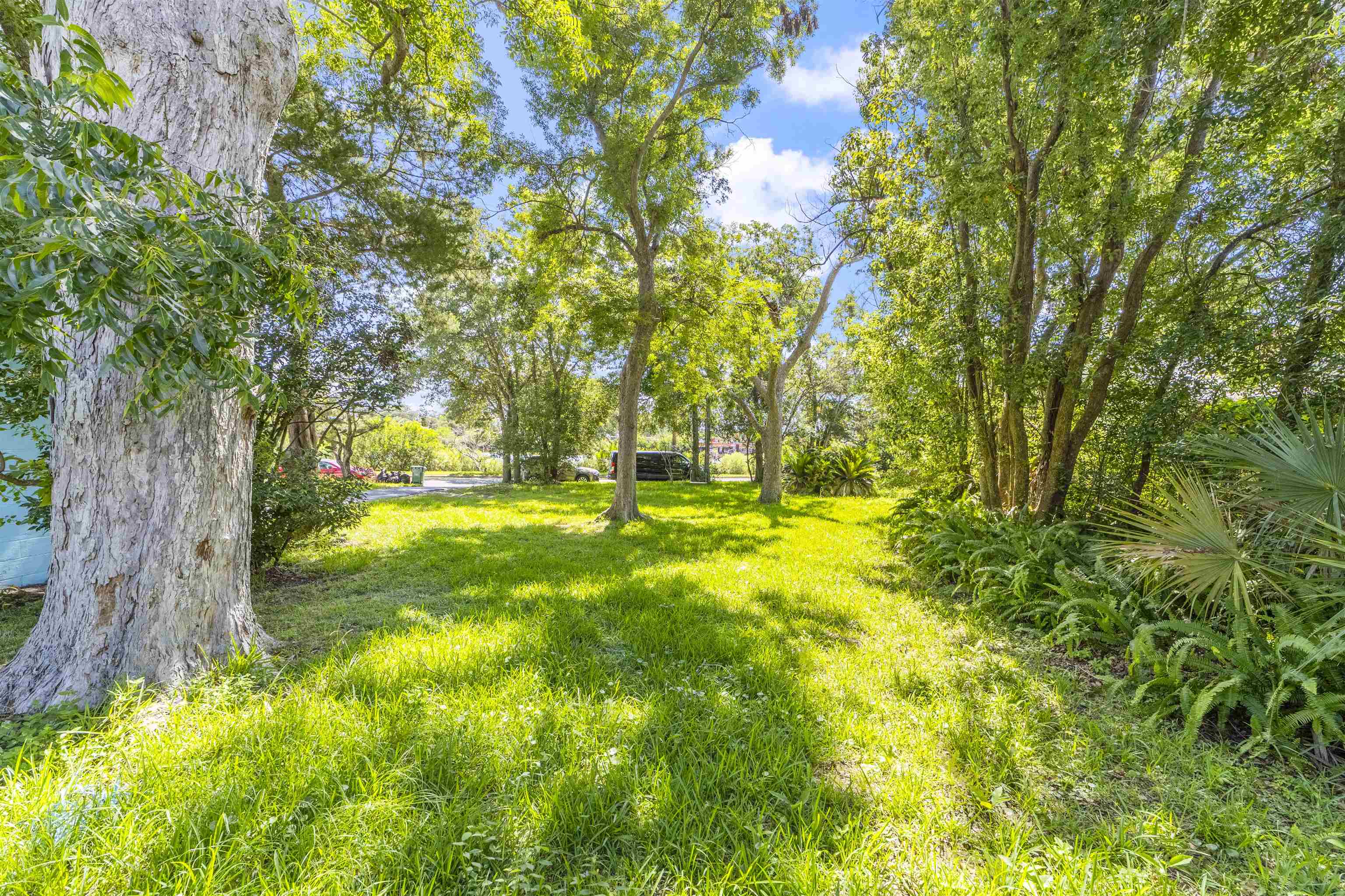0 Rio Vista Drive St. Augustine, FL 32084 - Photo 6 of 9 a view of yard with green space
