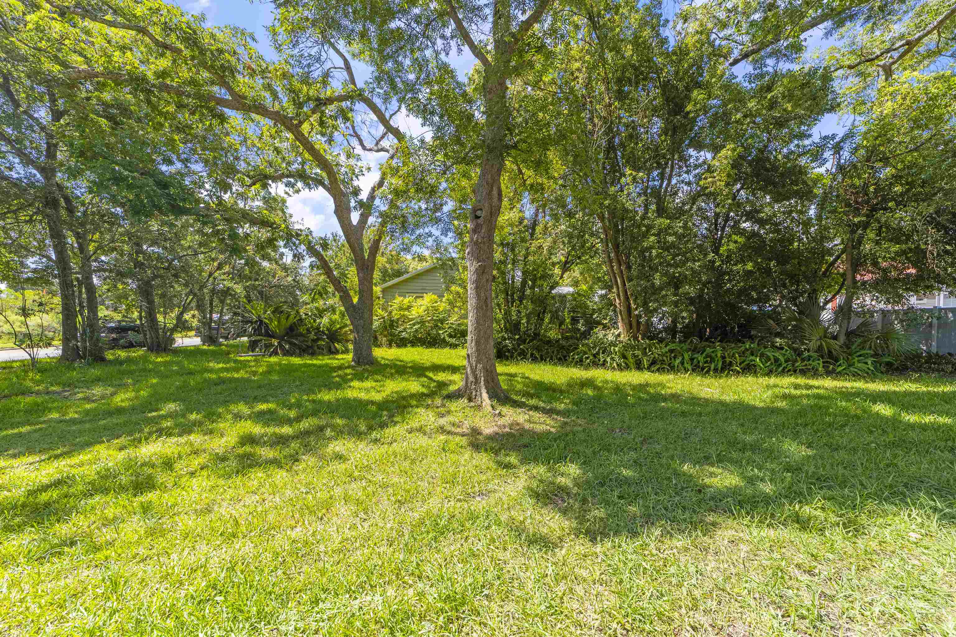 0 Rio Vista Drive St. Augustine, FL 32084 - Photo 7 of 9 a view of a park with large trees