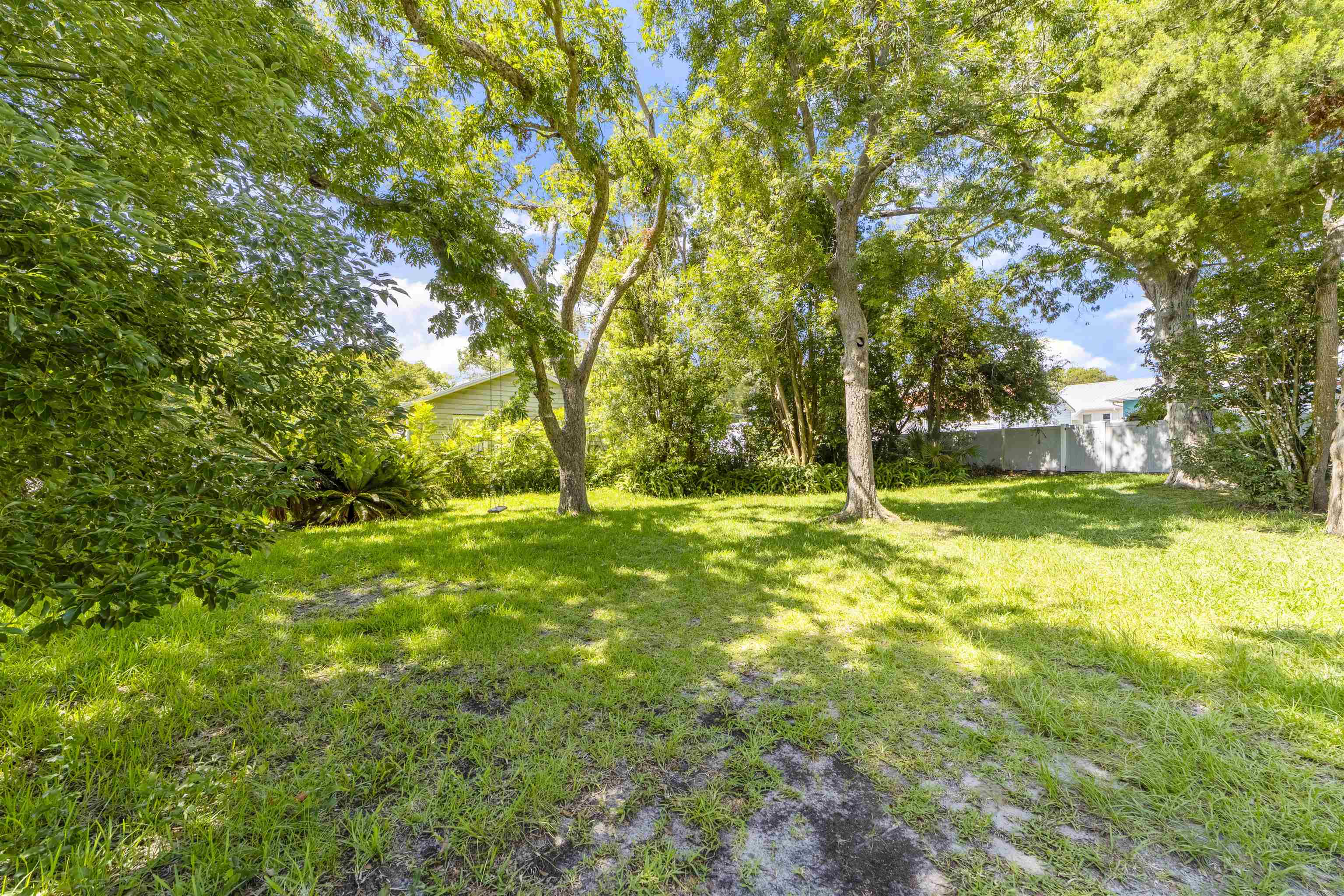0 Rio Vista Drive St. Augustine, FL 32084 - Photo 8 of 9 a view of yard with tree