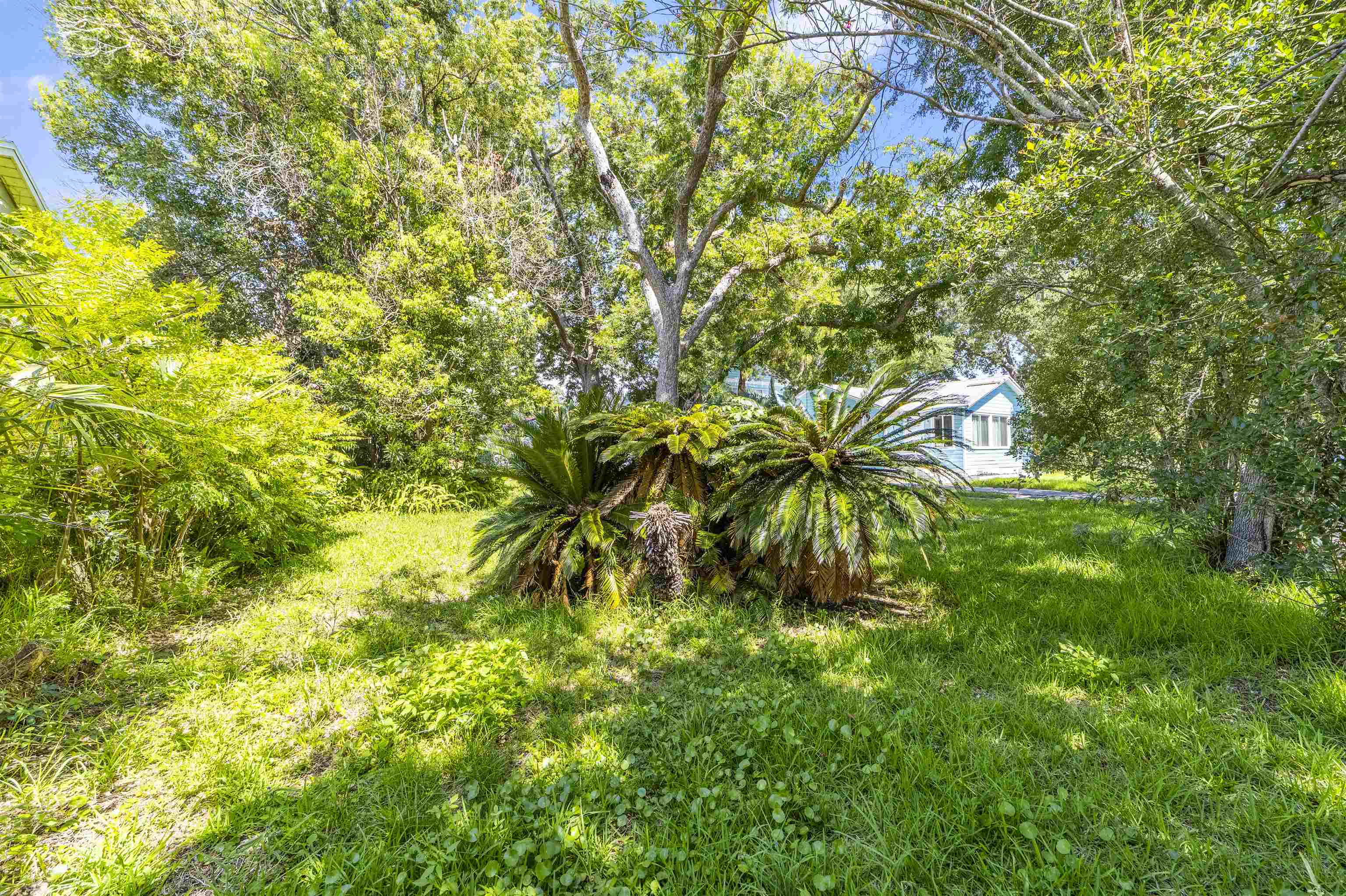 0 Rio Vista Drive St. Augustine, FL 32084 - Photo 9 of 9