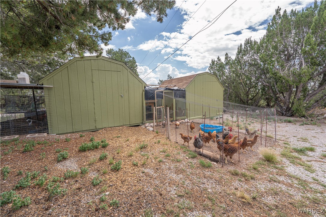 10320 South Veteran Road Seligman, AZ 86337 - Photo 60 of 79 Yard