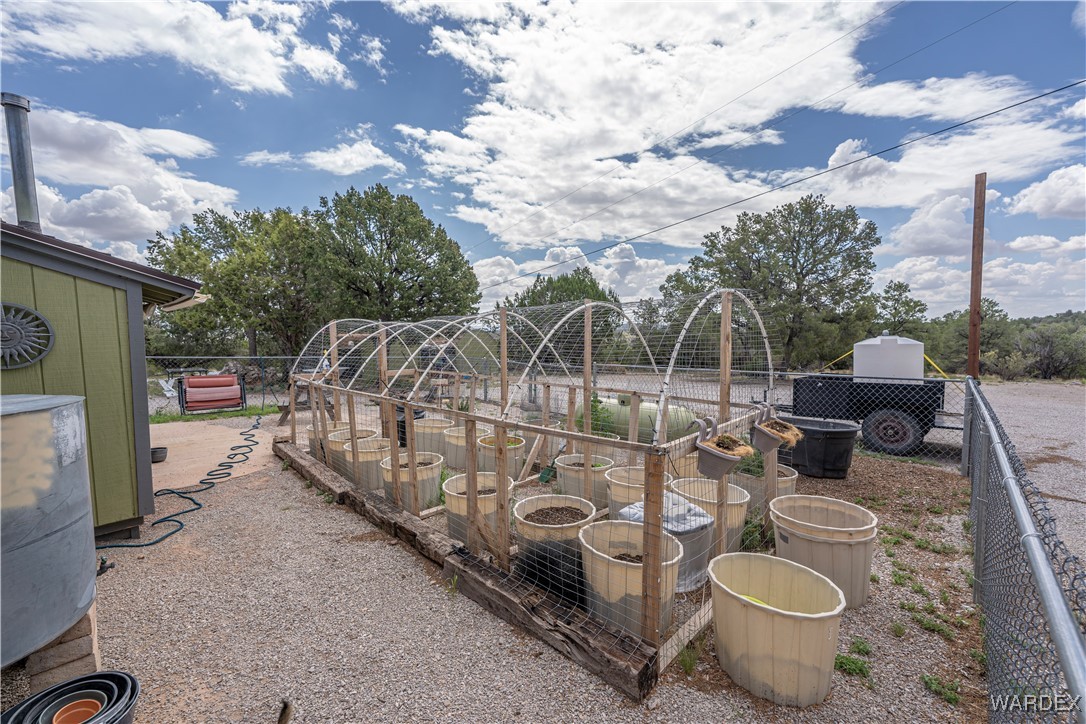 10320 South Veteran Road Seligman, AZ 86337 - Photo 62 of 79 Garden