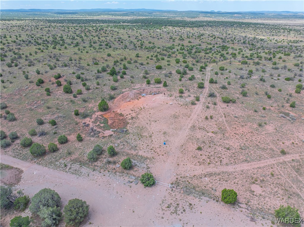 10320 South Veteran Road Seligman, AZ 86337 - Photo 70 of 79 Aerial View
