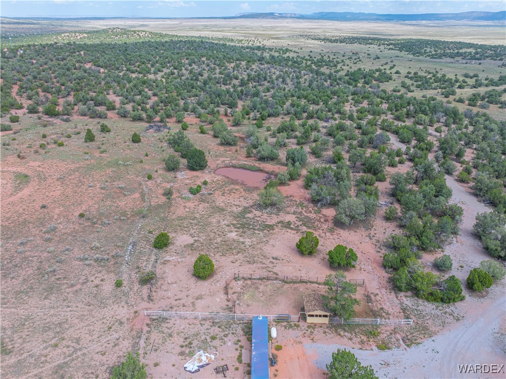 10320 South Veteran Road Seligman, AZ 86337 - Photo 71 of 79 Aerial View