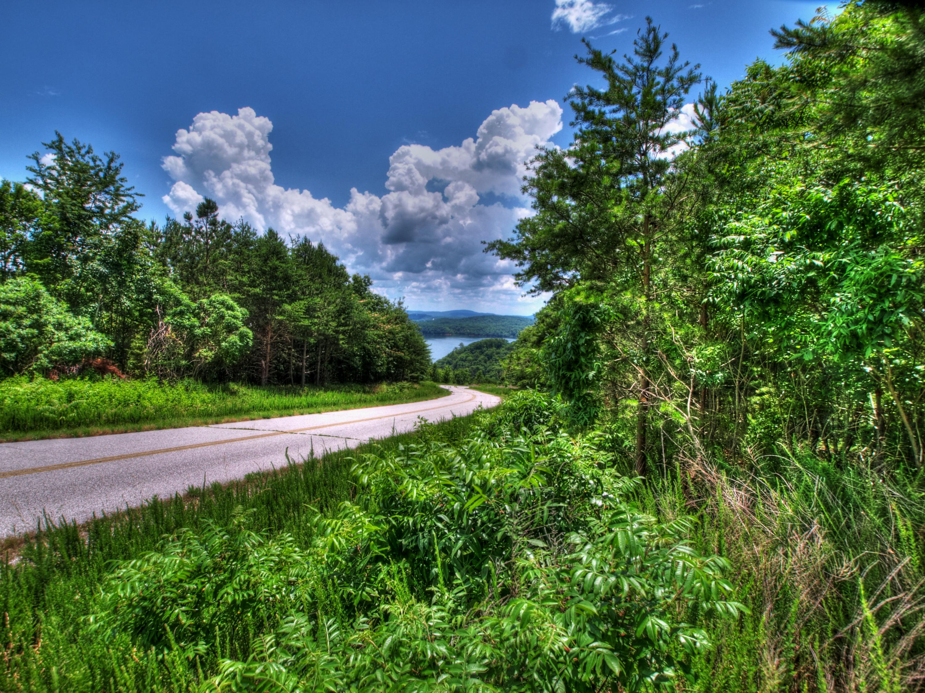 Lot 418 Flint Ridge Road Rockwood, TN 37854 - Photo 1 of 14 Lot 418 Flint Ridge