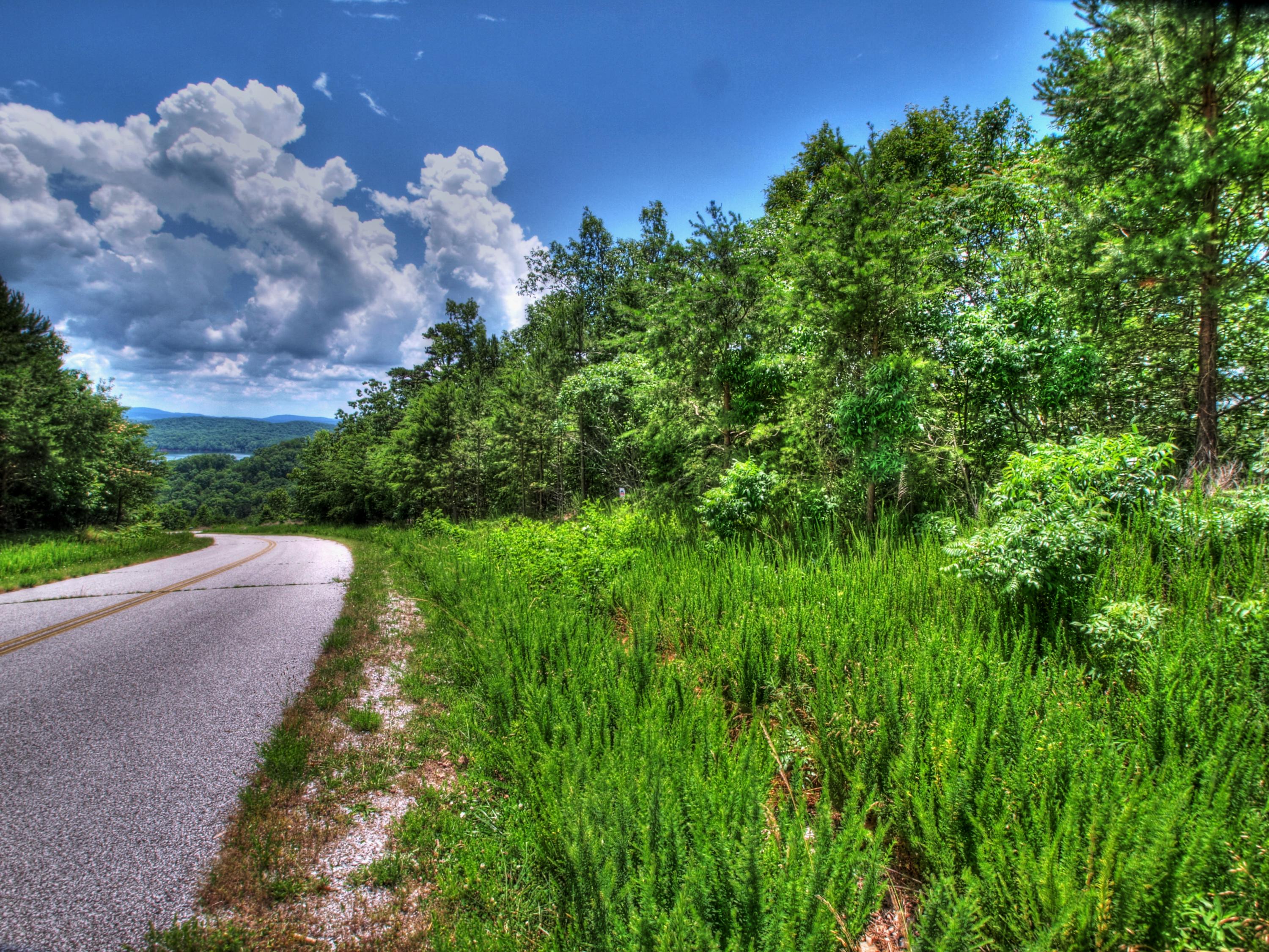 Lot 418 Flint Ridge Road Rockwood, TN 37854 - Photo 2 of 14 Street side