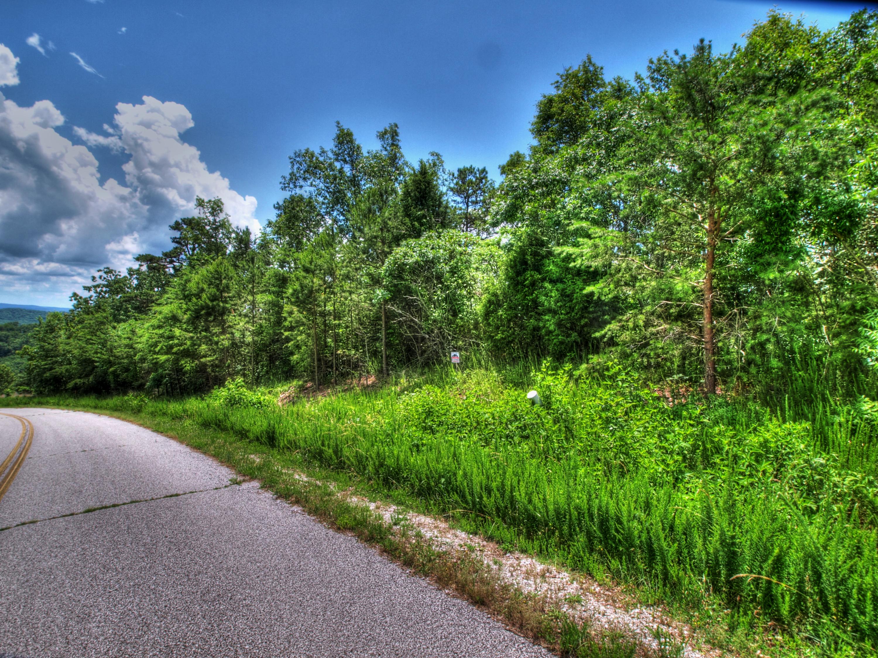 Lot 418 Flint Ridge Road Rockwood, TN 37854 - Photo 3 of 14 Level to rolling lot