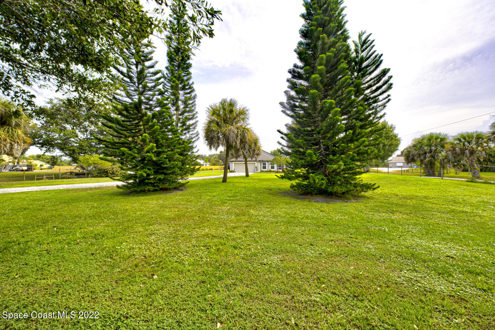 3945 Post Road Melbourne, FL 32934 - Photo 24 of 24 a view of a trees with a yard