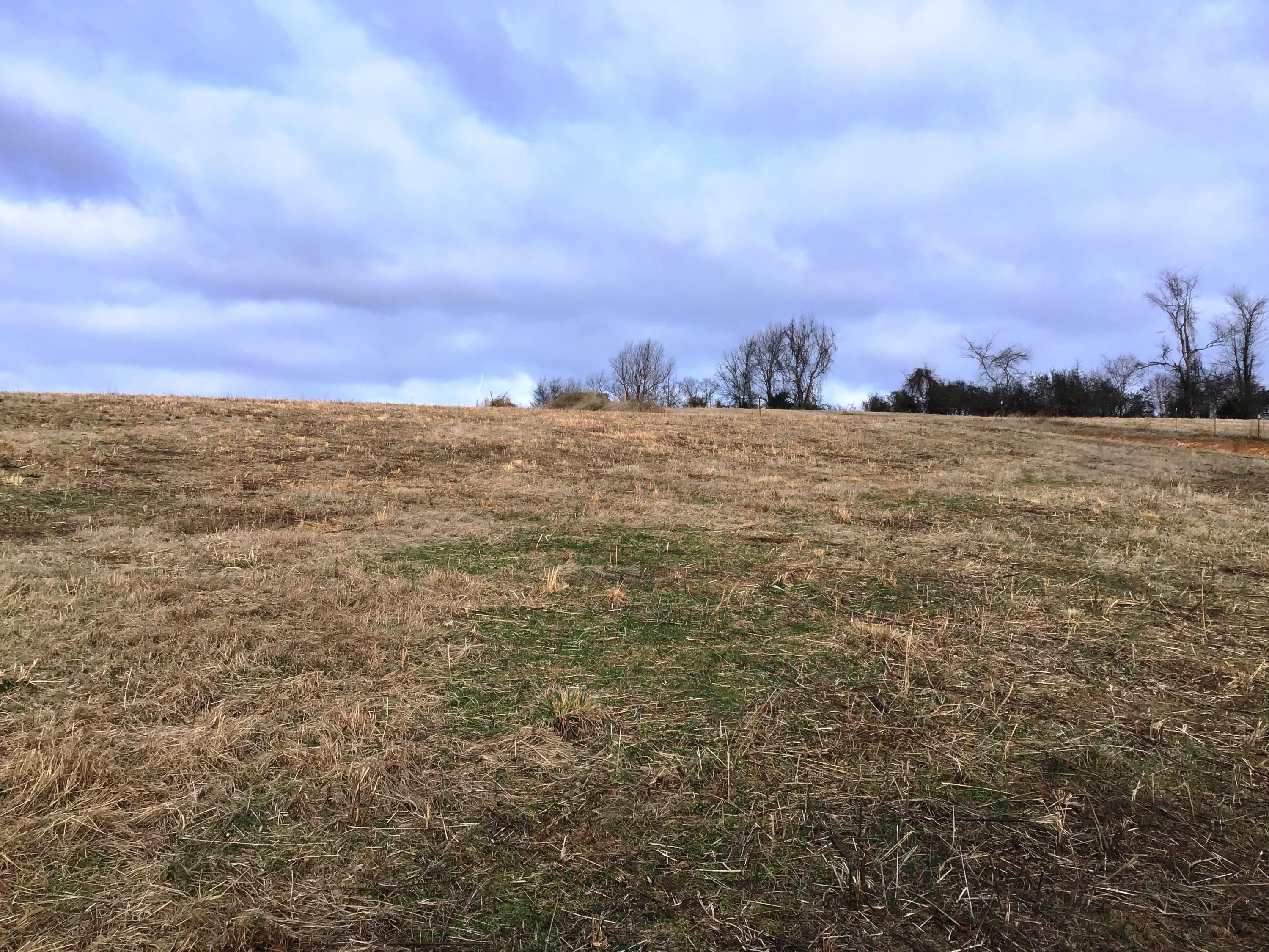 Lot 13 Milburnton Road, Unit 13 Limestone, TN 37681 - Photo 10 of 16 Milburnton