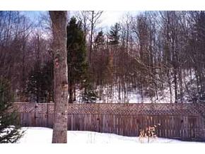 160 Meadow Brook Road Bristol, NH 03222 - Photo 2 of 2 Gallery Image 2