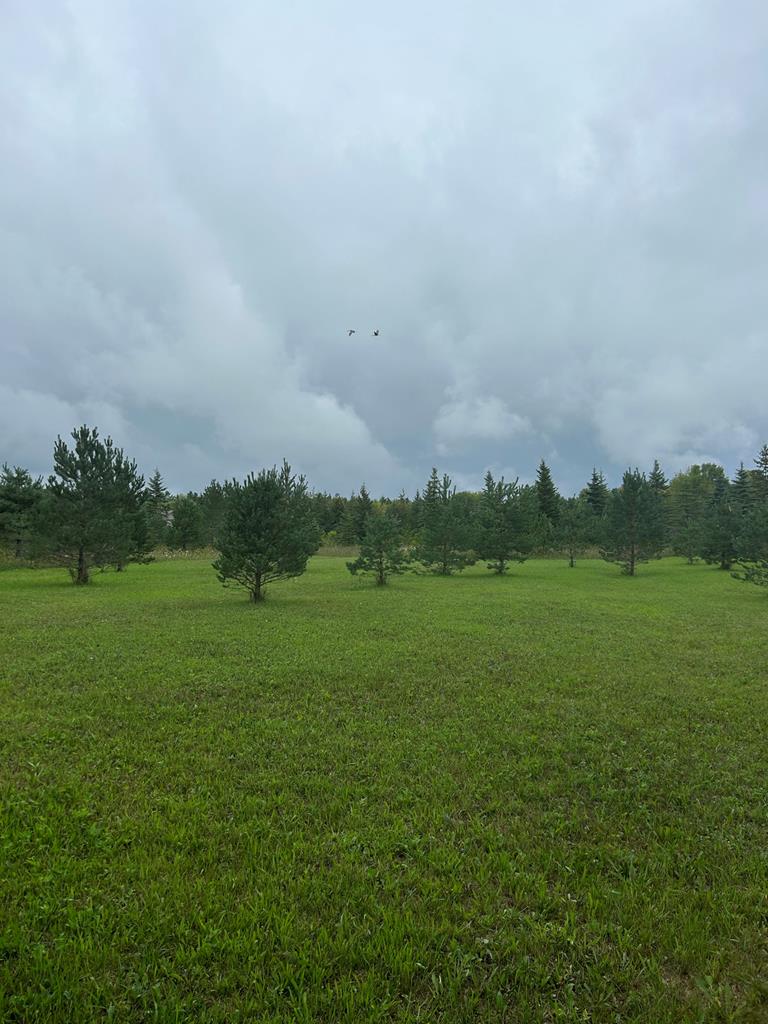 Tbd Little Lane Ellison Bay, WI 54210 - Photo 18 of 19