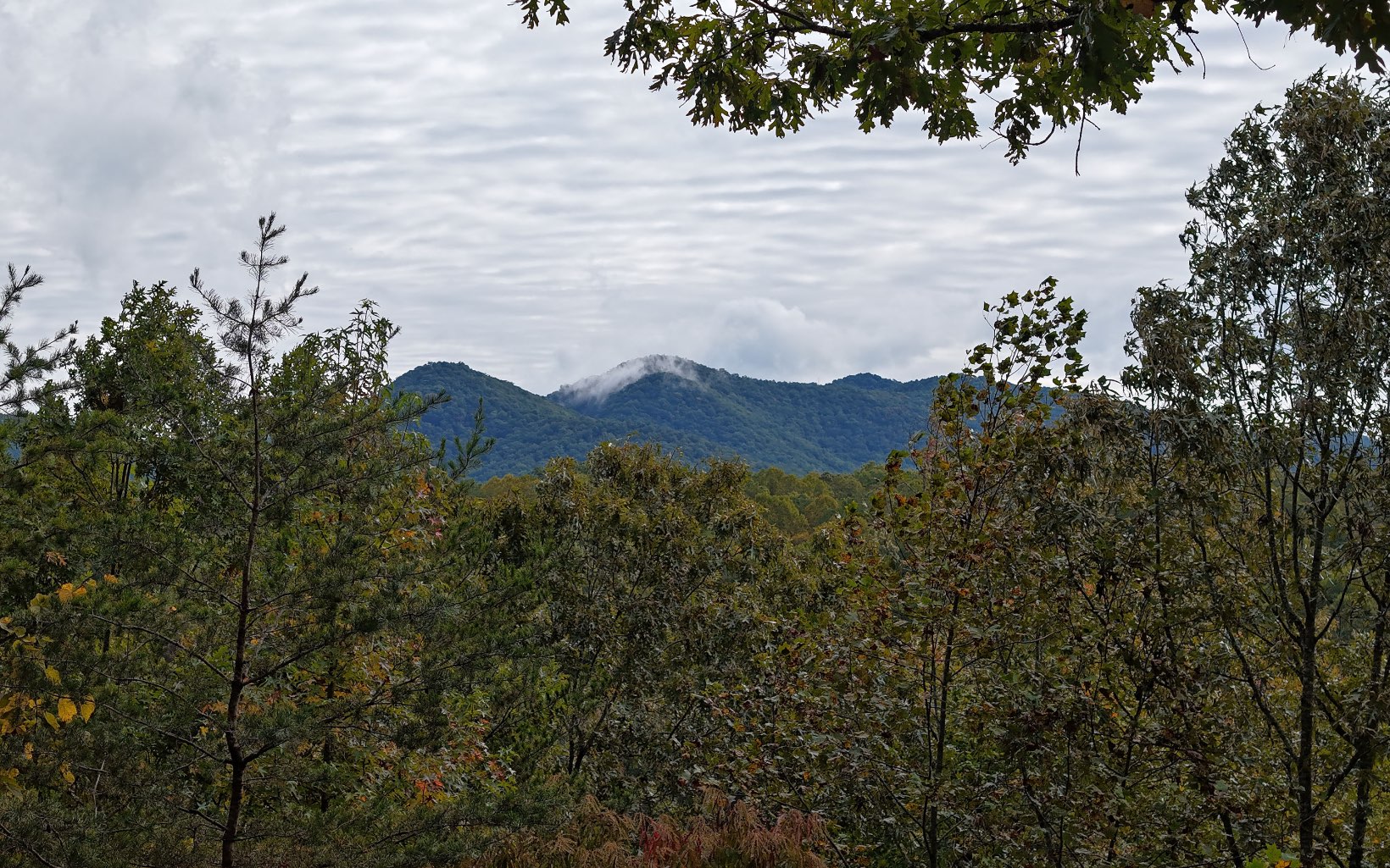 14 Vista Ridge Blairsville, GA 30512 - Photo 2 of 3 Additional View