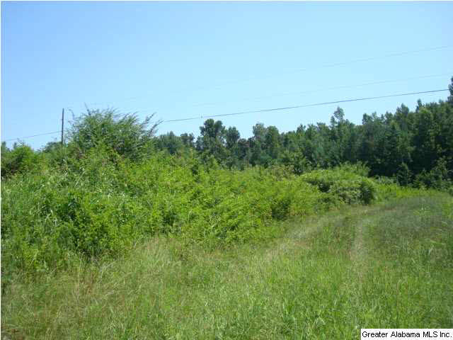 Mcintosh Road, Unit 53 Oxford, AL 36203 - Photo 10 of 29