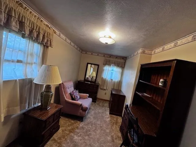 a living room with furniture and a lamp