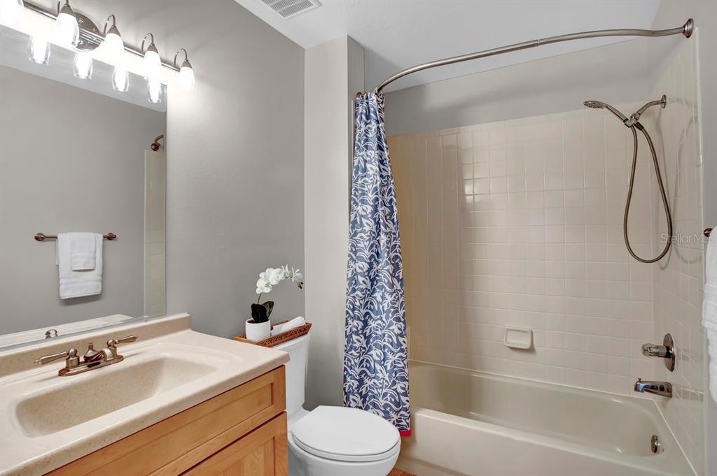 1706 Erin Brooke Drive Valrico, FL 33594 - Photo 23 of 39 a bathroom with a sink vanity mirror and toilet