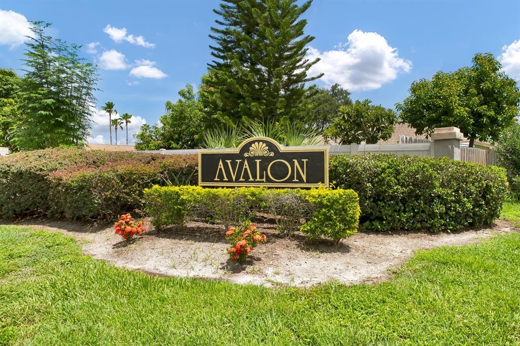 1706 Erin Brooke Drive Valrico, FL 33594 - Photo 32 of 39 a front view of a house with a yard