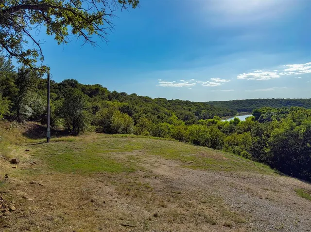 a view of a field with an trees