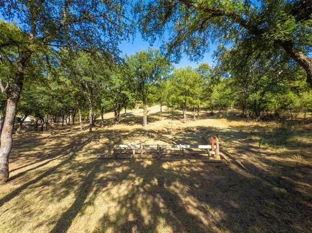 a view of a tree with a yard