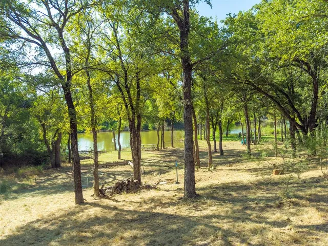 a view of a yard with a tree