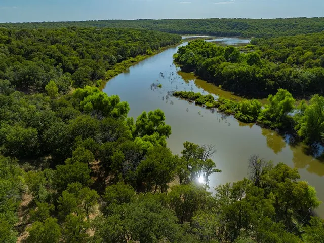 a lake view with a large trees around