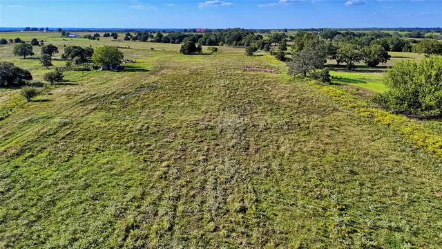 a view of a yard with a tree