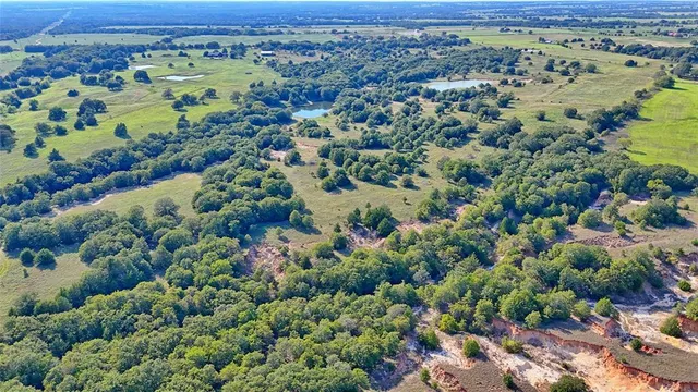 a view of a big yard with large trees