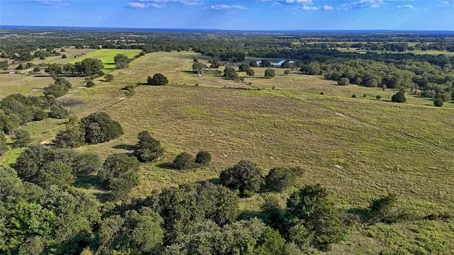 a view of a garden with a lot of flowers
