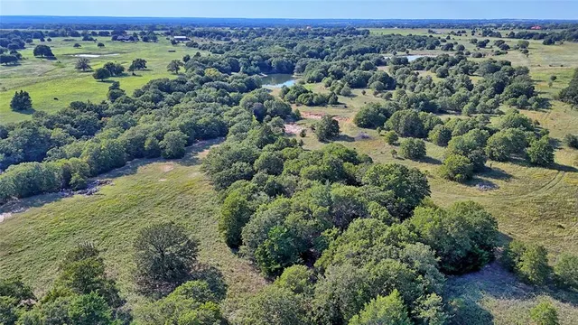 a view of a city with lots of trees