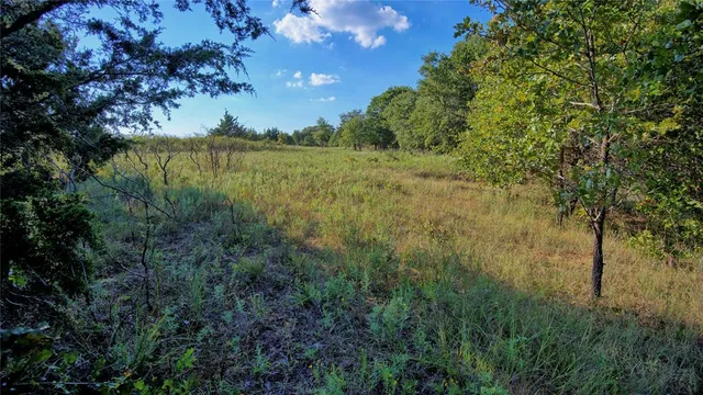 a view of a lake in middle of a field