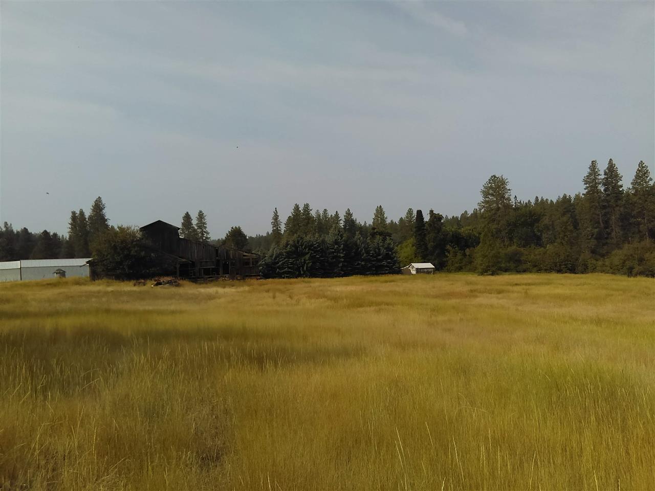 Tbd North Little Spokane Drive Colbert, WA 99005 - Photo 2 of 17