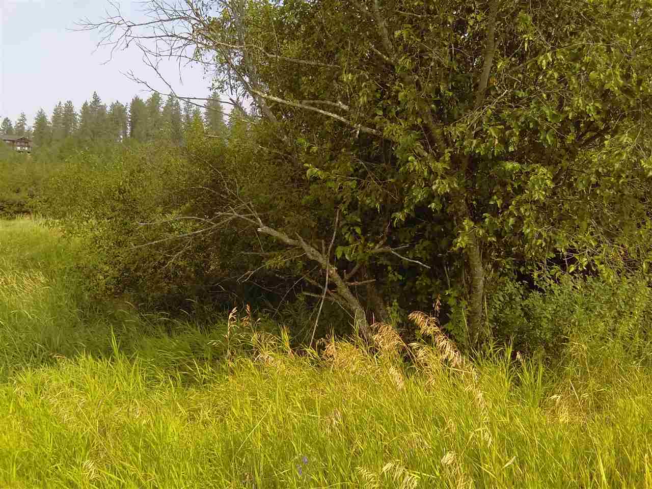 Tbd North Little Spokane Drive Colbert, WA 99005 - Photo 12 of 17