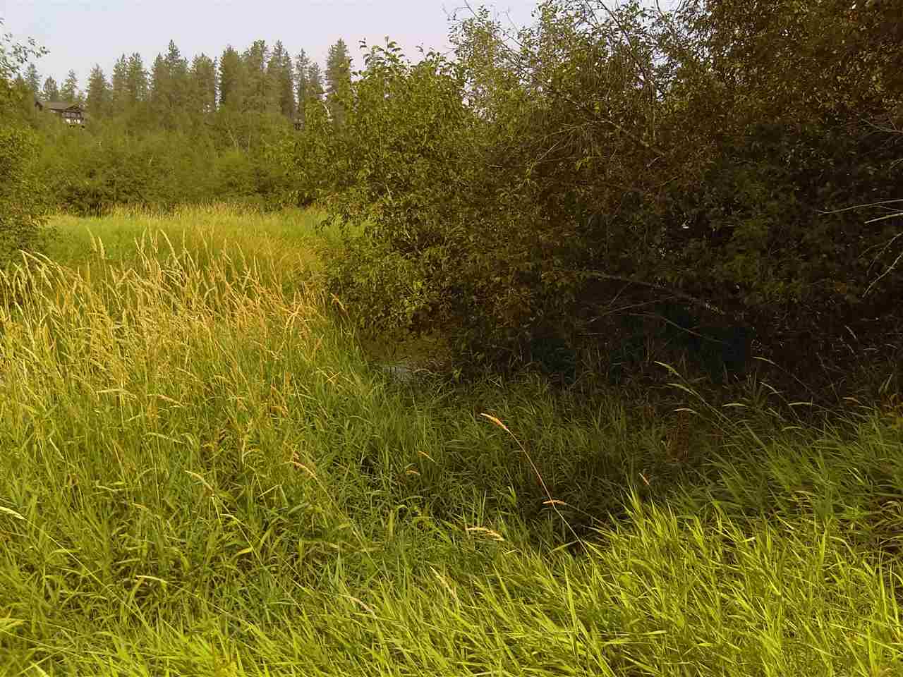 Tbd North Little Spokane Drive Colbert, WA 99005 - Photo 13 of 17