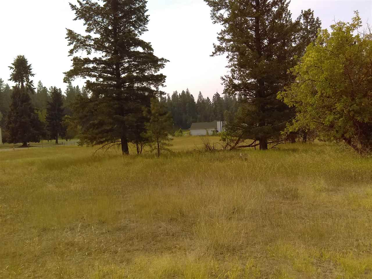 Tbd North Little Spokane Drive Colbert, WA 99005 - Photo 16 of 17
