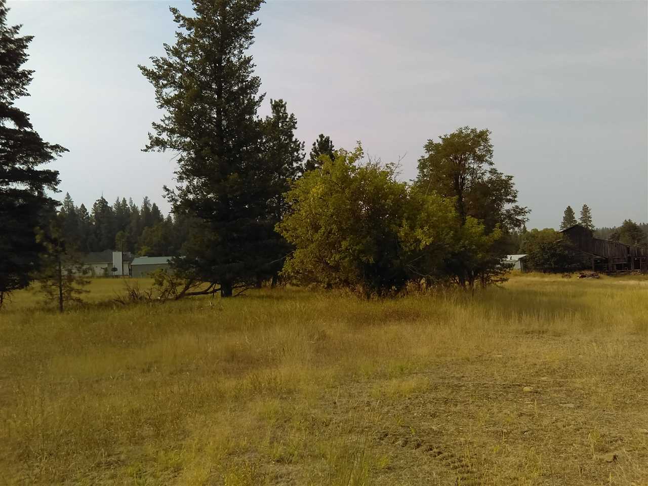 Tbd North Little Spokane Drive Colbert, WA 99005 - Photo 5 of 17